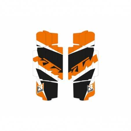 BLACKBIRD RACING Adhesivos para rejillas de radiador DREAM 4 1118237