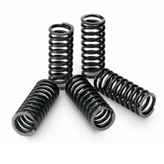 TECNIUM KIT, CLUTCH SPRING 18433