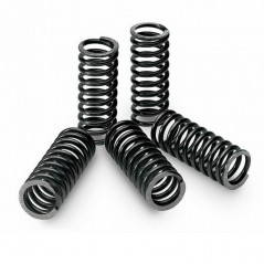 TECNIUM KIT, CLUTCH SPRING 18484
