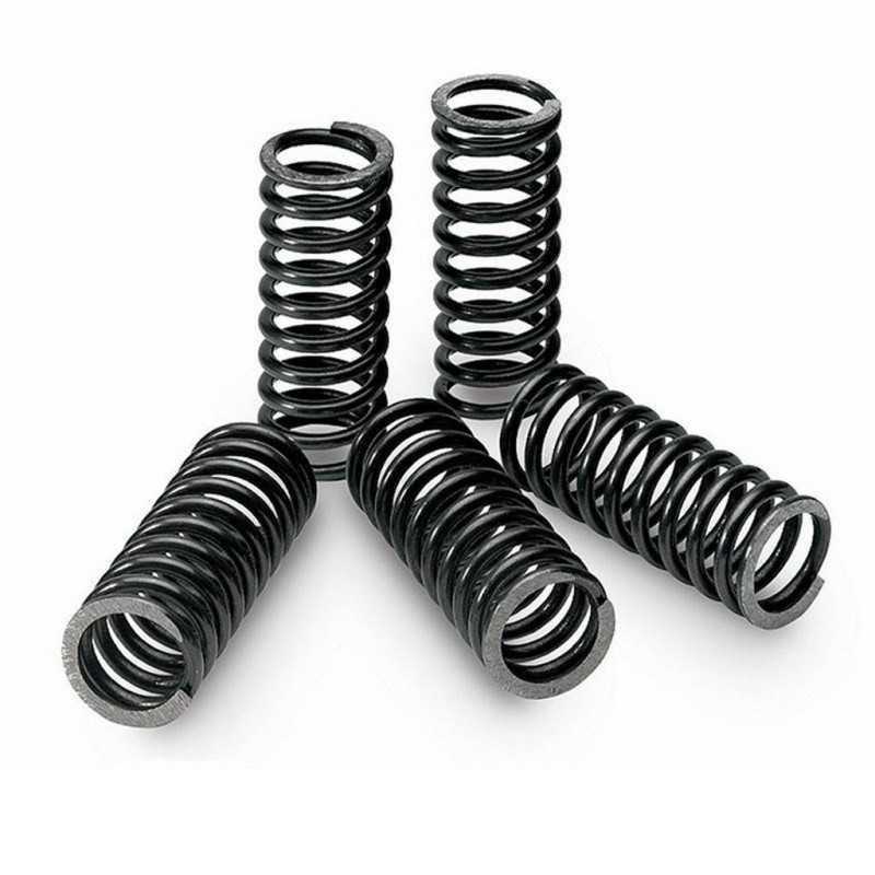 TECNIUM KIT, CLUTCH SPRING 18484