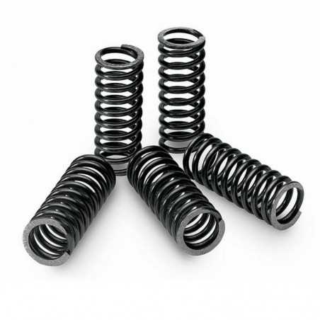 TECNIUM Kit de muelles embrague 5 unidades para motocicletas 18484