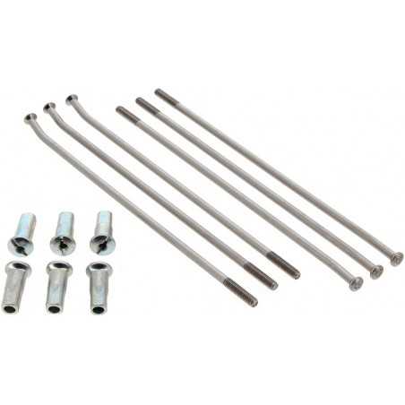 ART spoke set 36 U 36 U 77501652