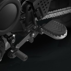 RIZOMA Adjustable shift pedal PE262