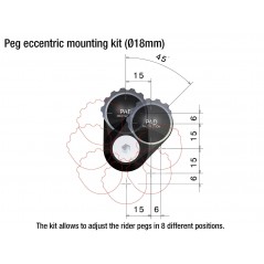 RIZOMA Kit montaje estriberas adaptador excéntrico ∅18 MM PE687
