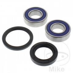 ALL BALLS Set of wheel bearings with seals 752.05.38