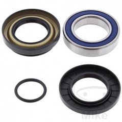 ALL BALLS Set of wheel bearings with seals 752.08.53