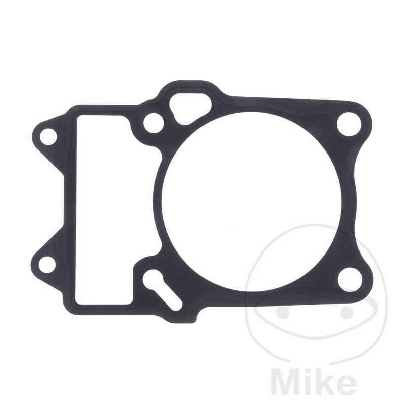 ATHENA cylinder base gasket 779.15.02