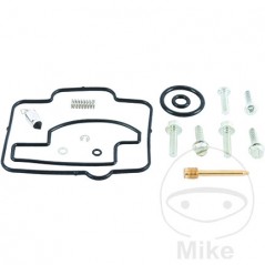 ALL BALLS Carburetor repair kit 724.19.83