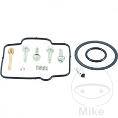 ALL BALLS Carburetor repair kit 724.19.86