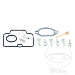 ALL BALLS Carburetor repair kit 724.19.88
