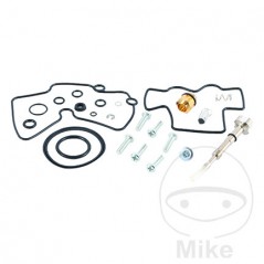 ALL BALLS Carburetor repair kit 724.19.91