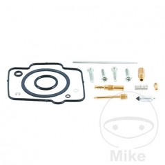 ALL BALLS Carburetor repair kit 724.20.17