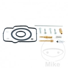 ALL BALLS Carburetor repair kit 724.20.18