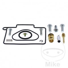 ALL BALLS Carburetor repair kit 724.20.56