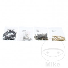 ALL BALLS Carburetor repair kit 724.34.29