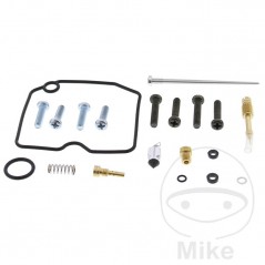 ALL BALLS Carburetor repair kit 724.34.33