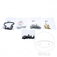 ALL BALLS Kit de reparacion carburador 724.34.42