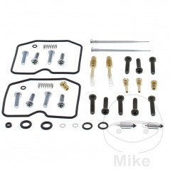 ALL BALLS Carburetor repair kit 724.34.46