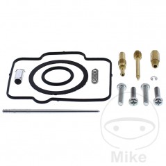 ALL BALLS Carburetor repair kit 724.34.51