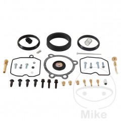 ALL BALLS Carburetor repair kit 724.34.61