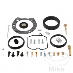 ALL BALLS Carburetor repair kit 724.34.65