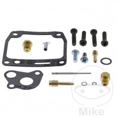 ALL BALLS Carburetor repair kit 724.34.69