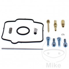 ALL BALLS Carburetor repair kit 724.34.72