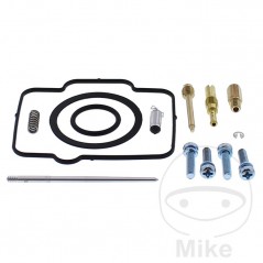 ALL BALLS Carburetor repair kit 724.34.75