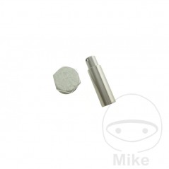 Tensor cadena de distribución (Recambio Original) OEM 741.02.38