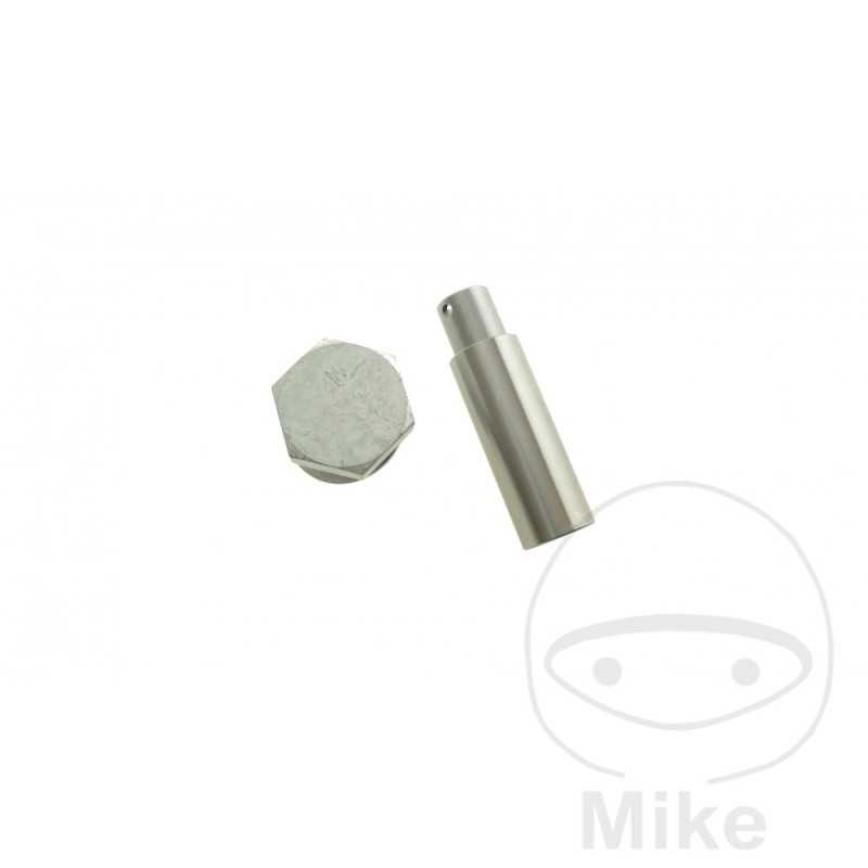 Tensor cadena de distribución (Recambio Original) OEM 741.02.38