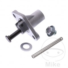 Tensor cadena de distribución (Recambio Original) OEM 741.02.43