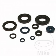 ATHENA seal kit 734.04.89