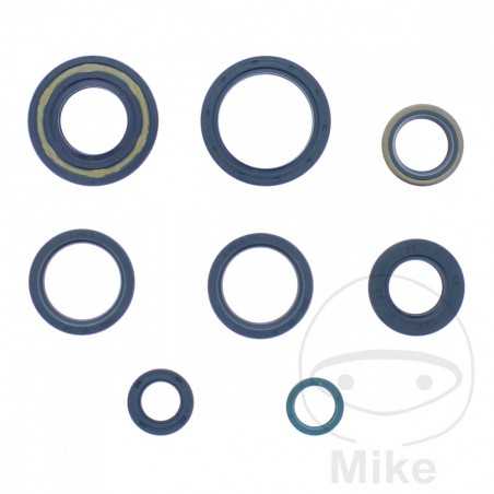 ATHENA seal kit 734.20.02