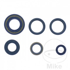 ATHENA seal kit 734.20.03