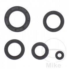 ATHENA seal kit 734.20.20