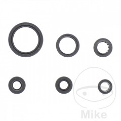 ATHENA seal kit 734.20.55
