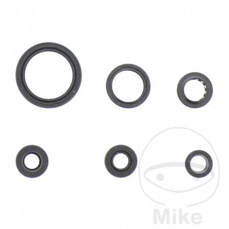 ATHENA seal kit 734.20.55