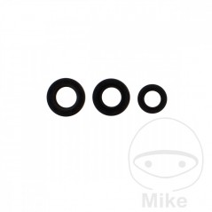 ATHENA Juego de retenes 734.22.33