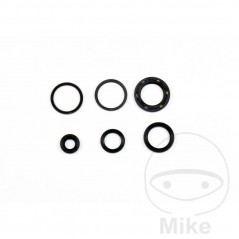 ATHENA seal kit 734.23.15