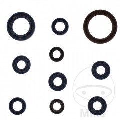 ATHENA seal kit 734.23.16