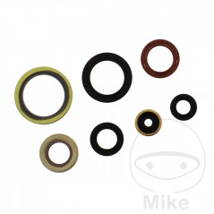 ATHENA seal kit 734.31.21