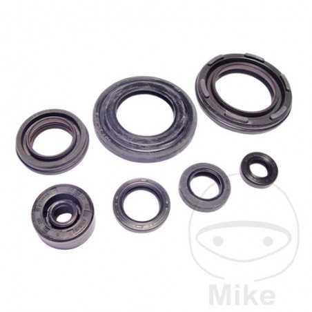 ATHENA seal kit 734.43.28