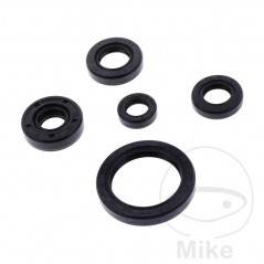ATHENA seal kit 734.48.03