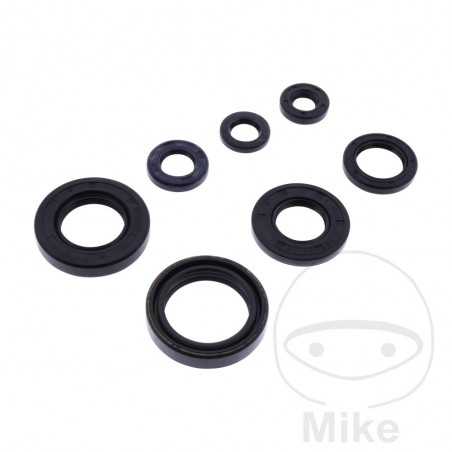 ATHENA seal kit 734.53.96
