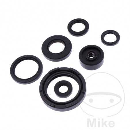 ATHENA seal kit 734.57.19