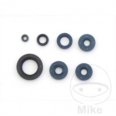 ATHENA seal kit 735.17.94