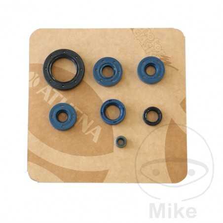 ATHENA seal kit 735.17.94