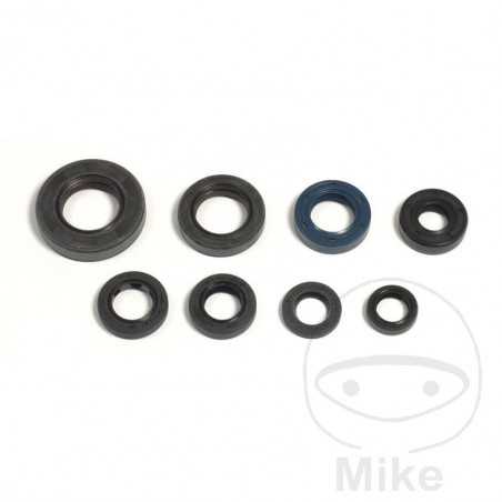 ATHENA seal kit 735.24.38