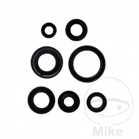 ATHENA seal kit 735.65.61