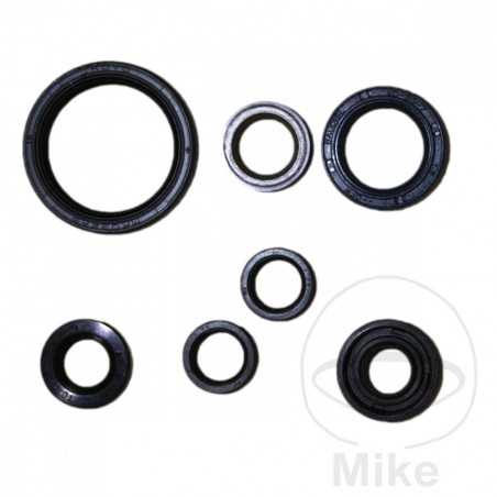 ATHENA seal kit 735.95.24